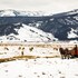 four seasons resort jackson hole