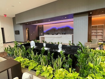 embassy suites by hilton alpharetta halcyon