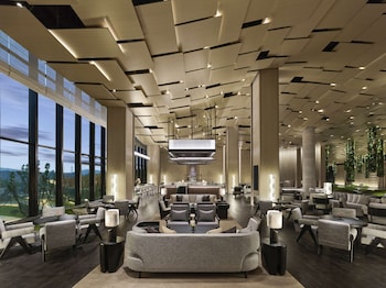 hilton nanjing niushoushan