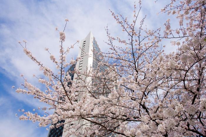 intercontinental ana tokyo by ihg