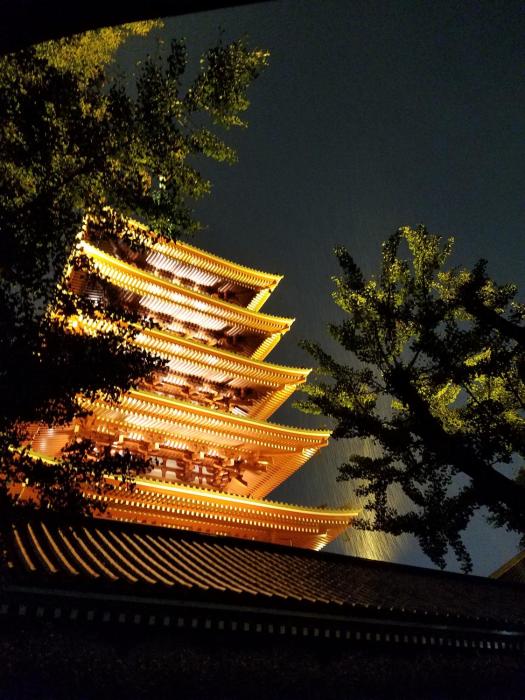 sakura hostel asakusa