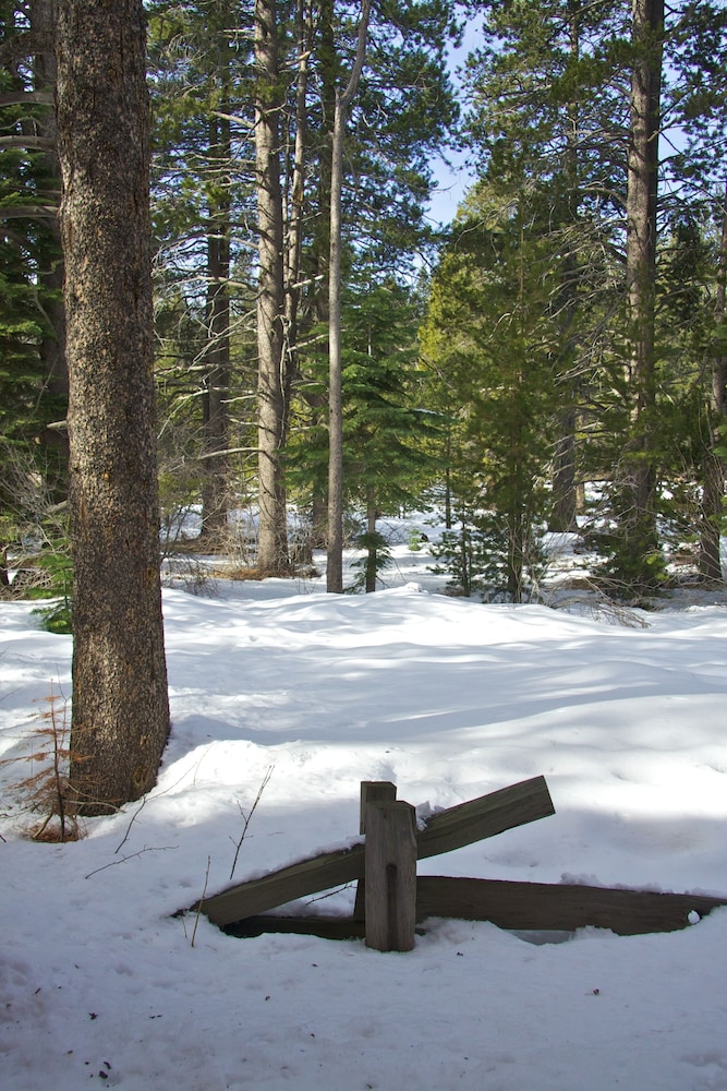 truckee donner lodge