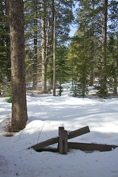 truckee donner lodge