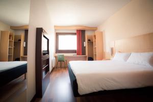 hotel ibis grenoble gare adults only