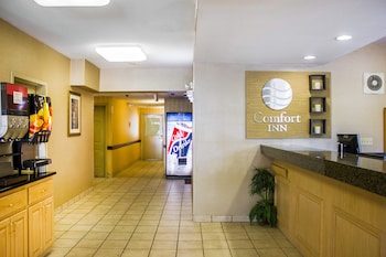 spark by hilton guilford