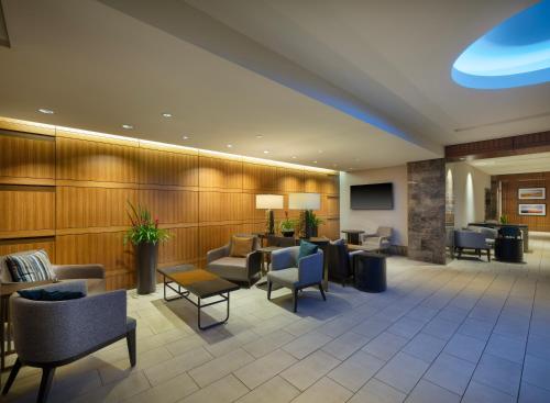 hilton indianapolis hotel and suites