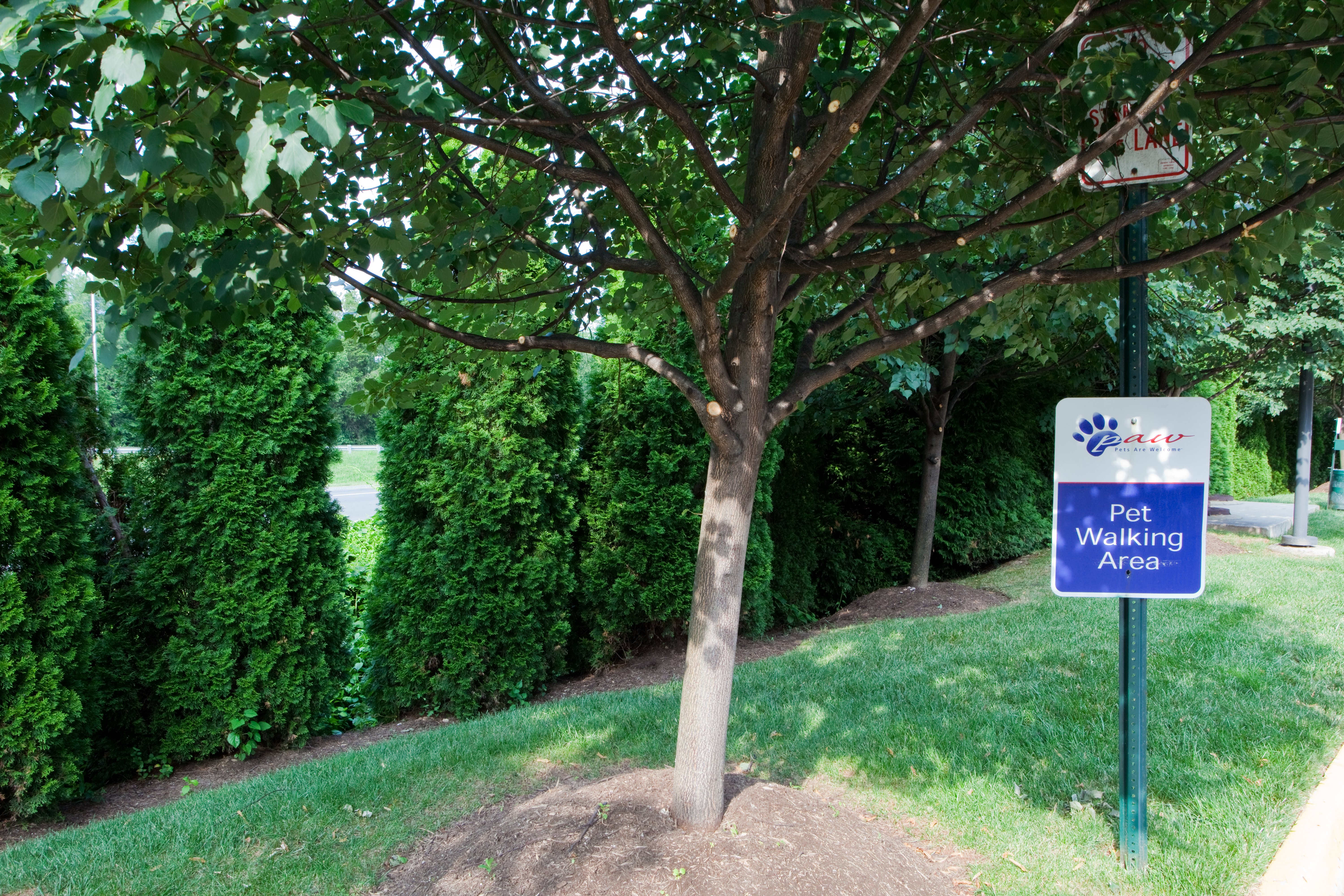 candlewood suites washington fairfax by ihg