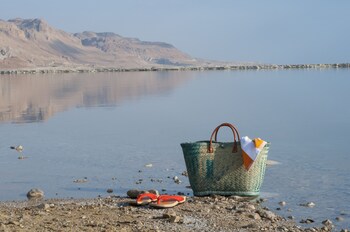 david dead sea resort and spa