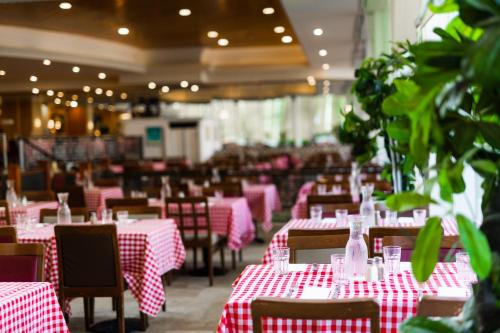 david dead sea resort and spa