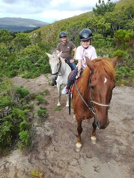 hermanus
