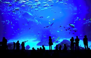 signia by hilton atlanta georgia world congress center