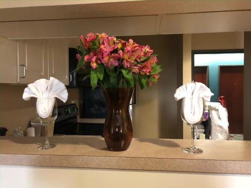 comfort suites houston west at clay road