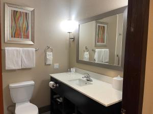 comfort suites houston west at clay road
