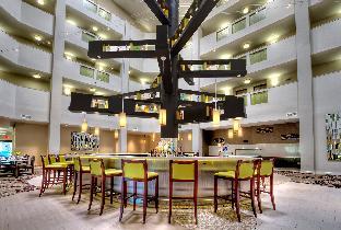 holiday inn hotel and suites tupelo north by ihg