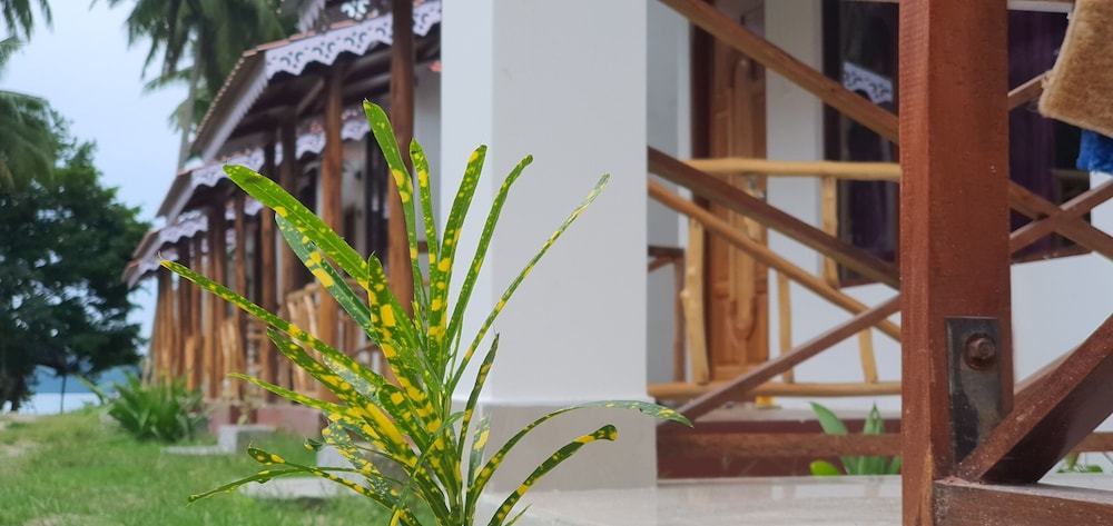 havelock exotic beach resort