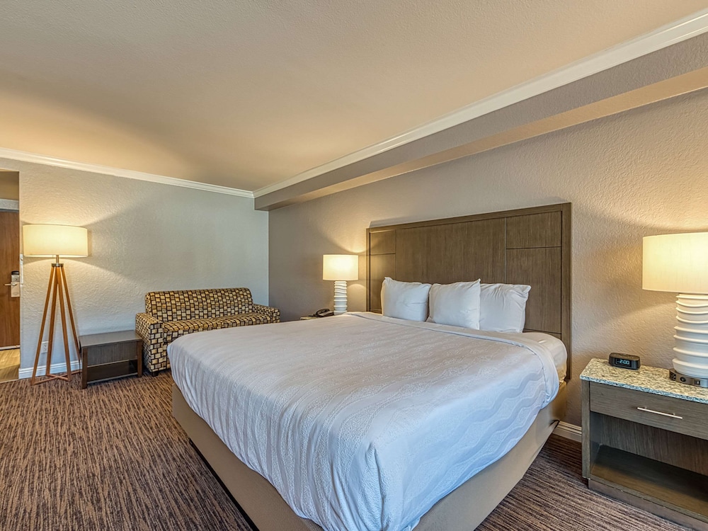 amanzi hotel ascend hotel collection