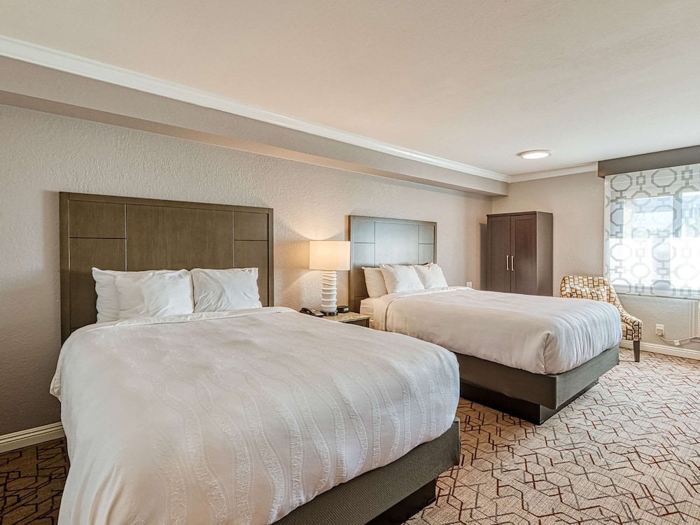 amanzi hotel ascend hotel collection