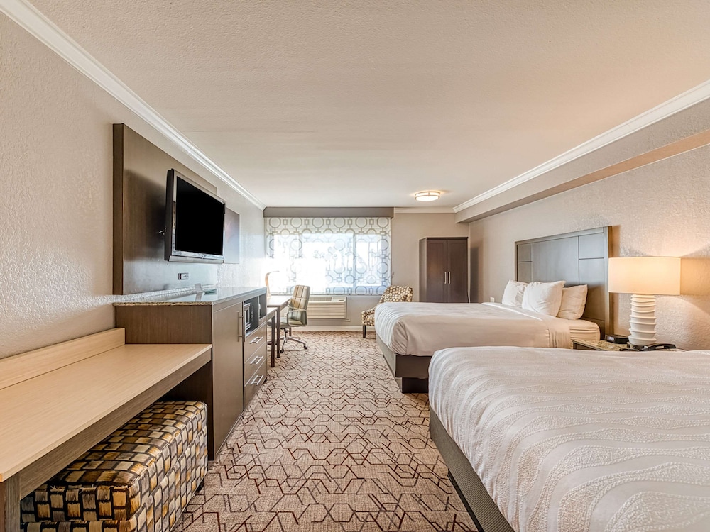 amanzi hotel ascend hotel collection