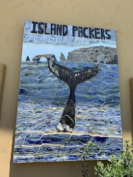 amanzi hotel ascend hotel collection