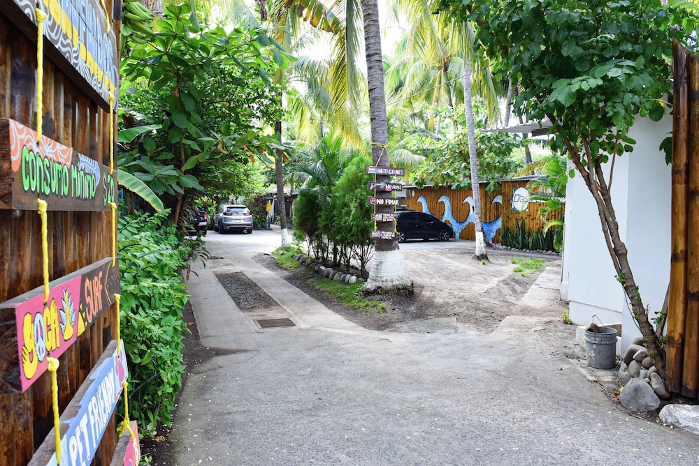 olas permanentes el zonte