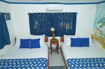 olas permanentes el zonte