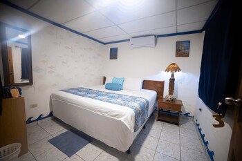 olas permanentes el zonte