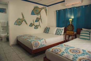 olas permanentes el zonte