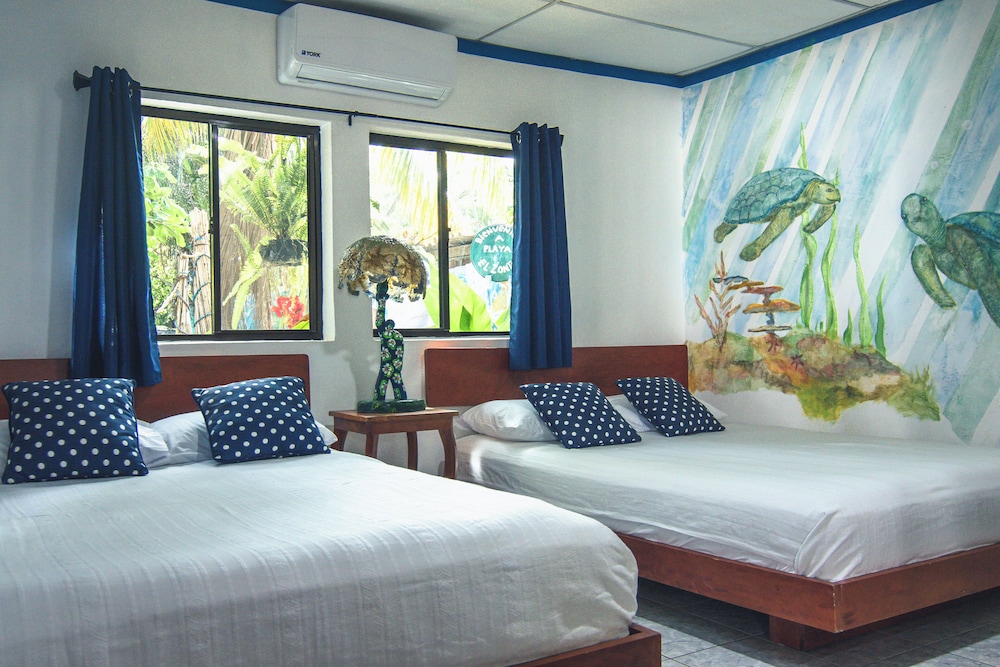 olas permanentes el zonte