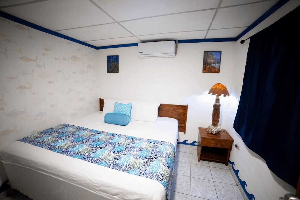 olas permanentes el zonte