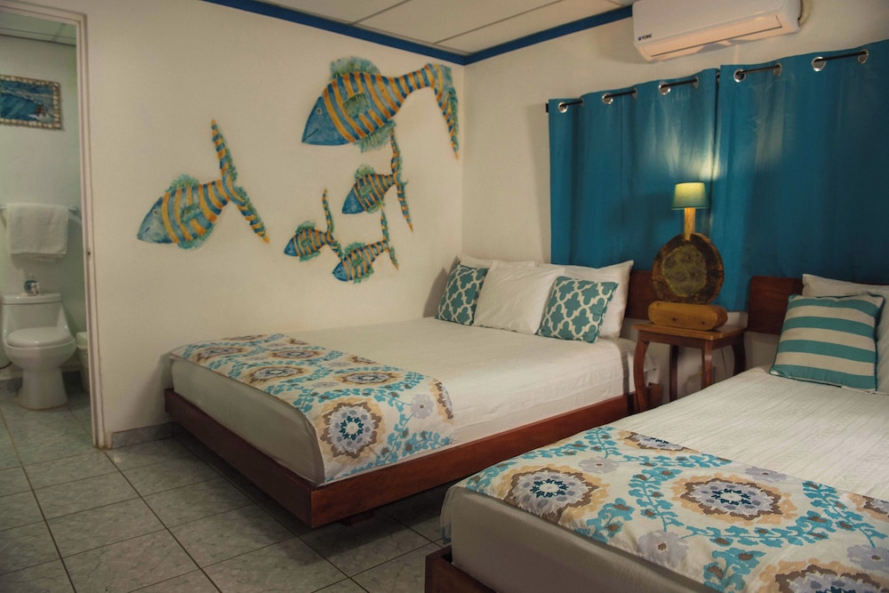 olas permanentes el zonte