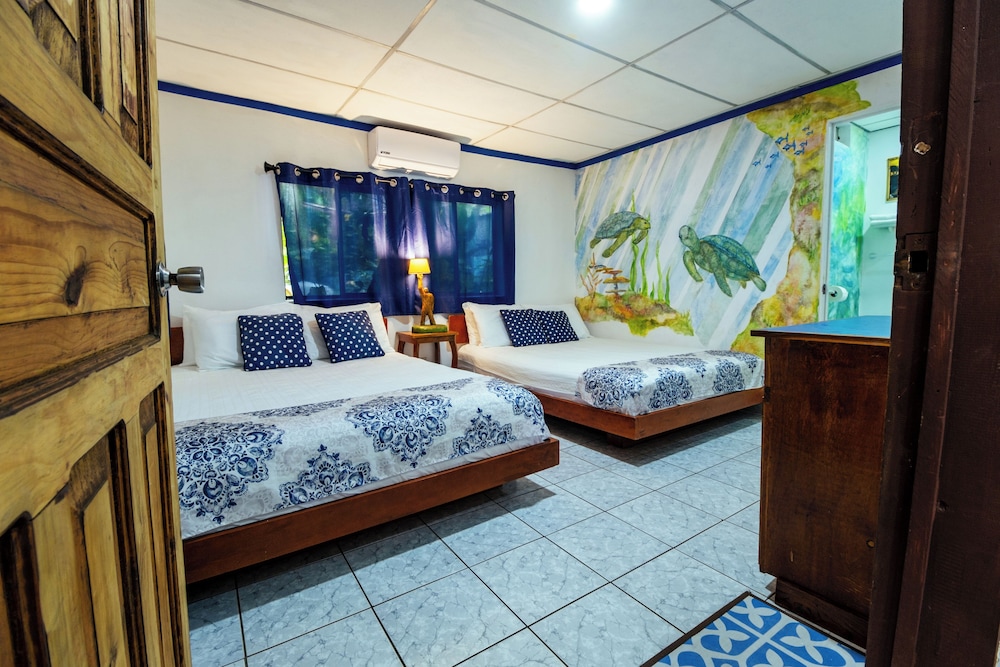 olas permanentes el zonte