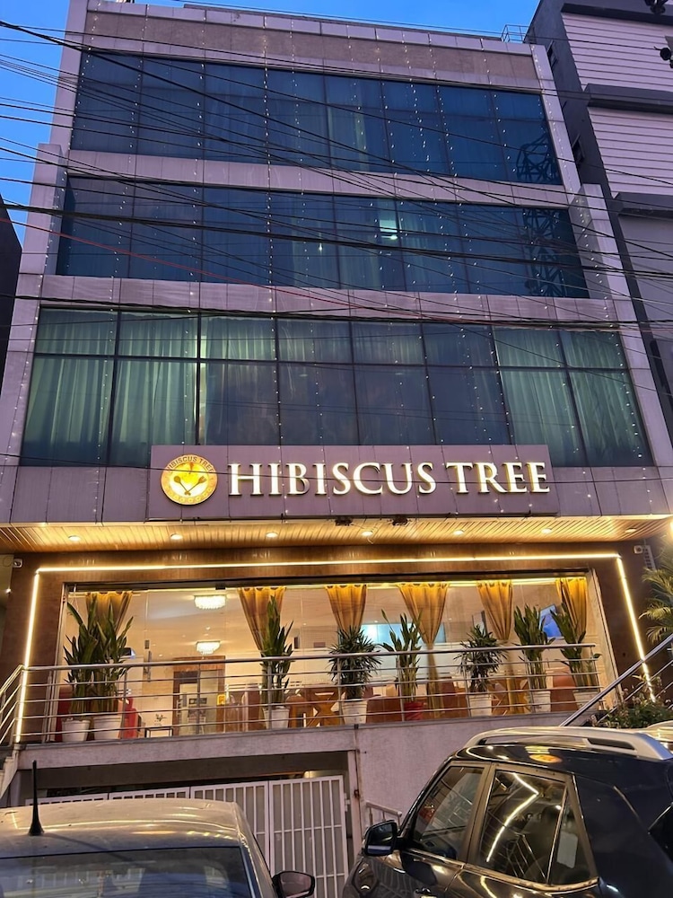 hotel hibiscus tree