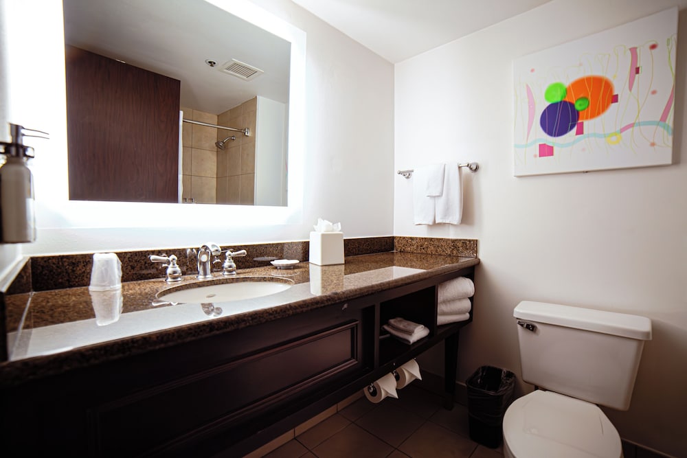 holiday inn irving las colinas by ihg