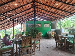 green leaf resort