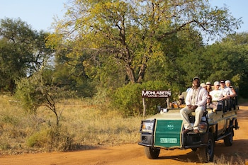 mohlabetsi safari lodge