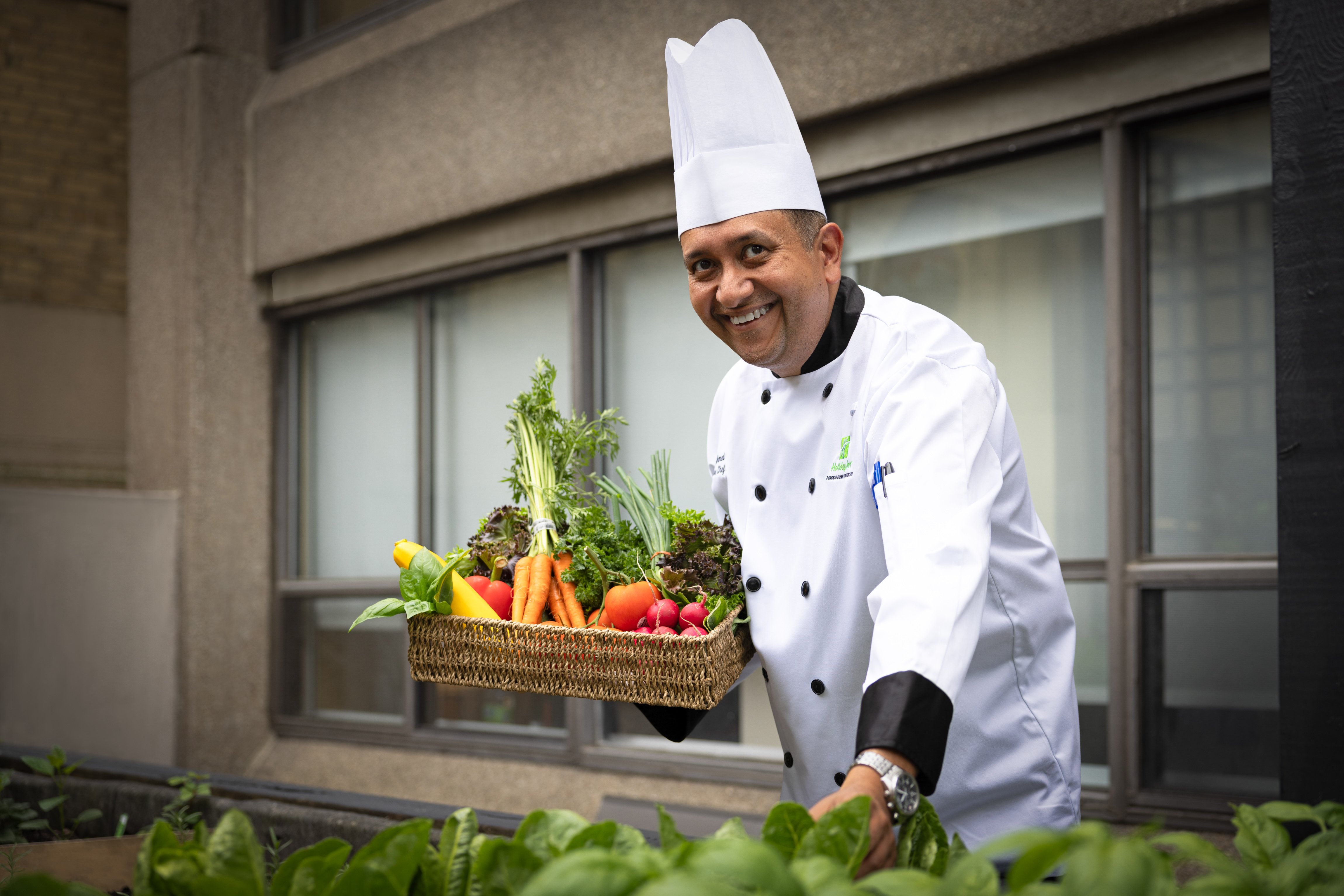 holiday inn toronto downtown centre by ihg