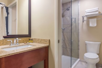 best western plus traverse city
