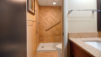 best western plus traverse city