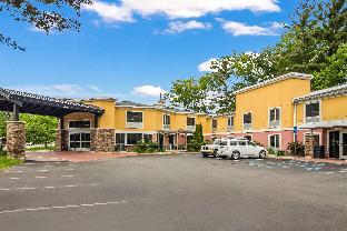 best western plus traverse city