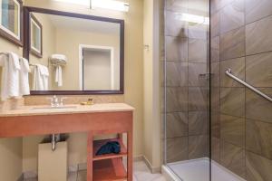 best western plus traverse city