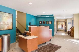 best western plus traverse city