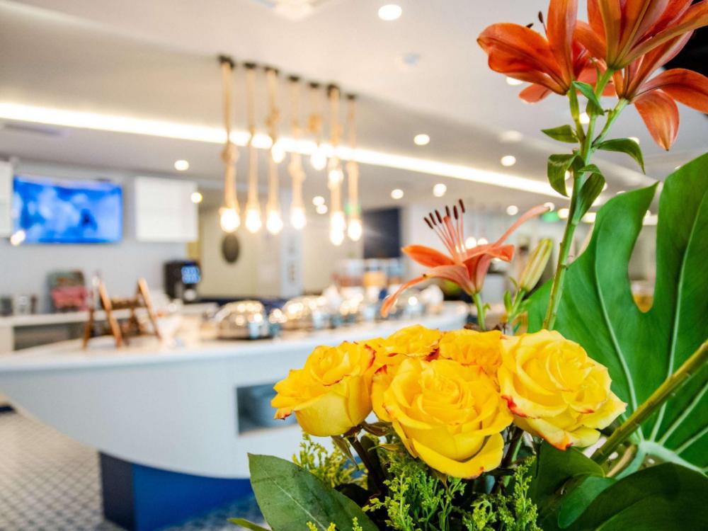 ibis styles el malecon guayaquil