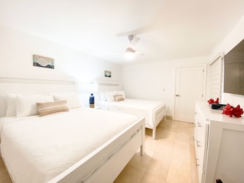 xeliter green one playa dorada