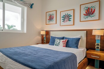 xeliter cana rock punta cana