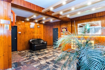 sparrow juniper tree