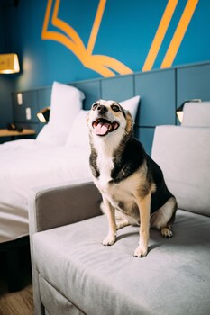 ibis styles pocos de caldas