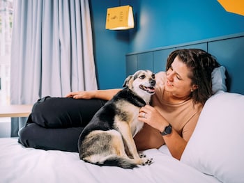 ibis styles pocos de caldas