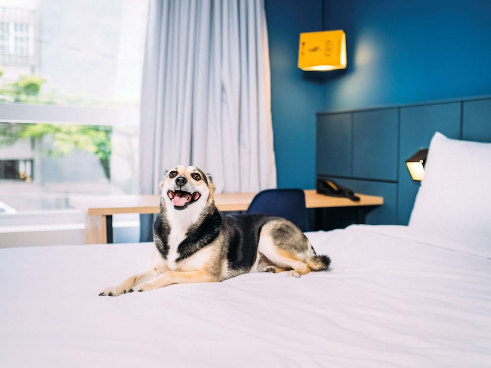 ibis styles pocos de caldas