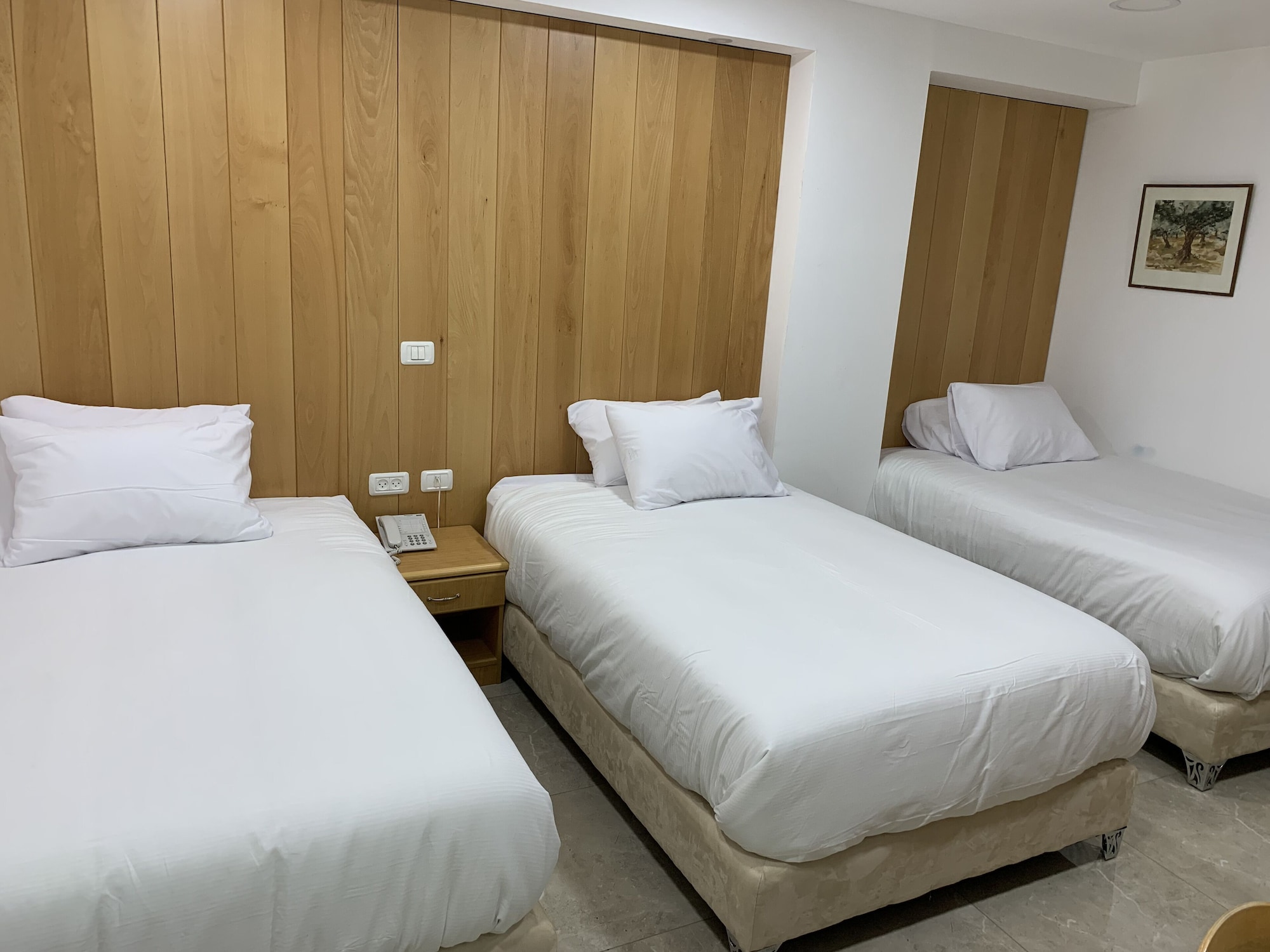 mount of olives hotel