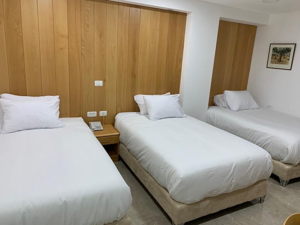 mount of olives hotel